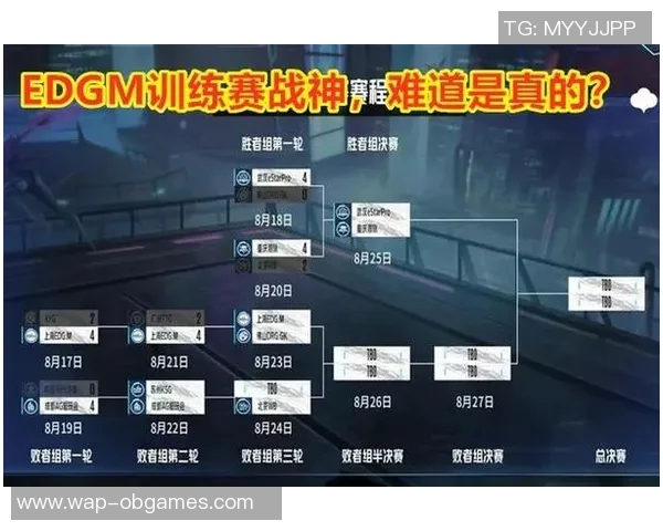 esports数据电竞比分王者荣耀巨献揭秘JDG战队的快速崛起与成功之路
